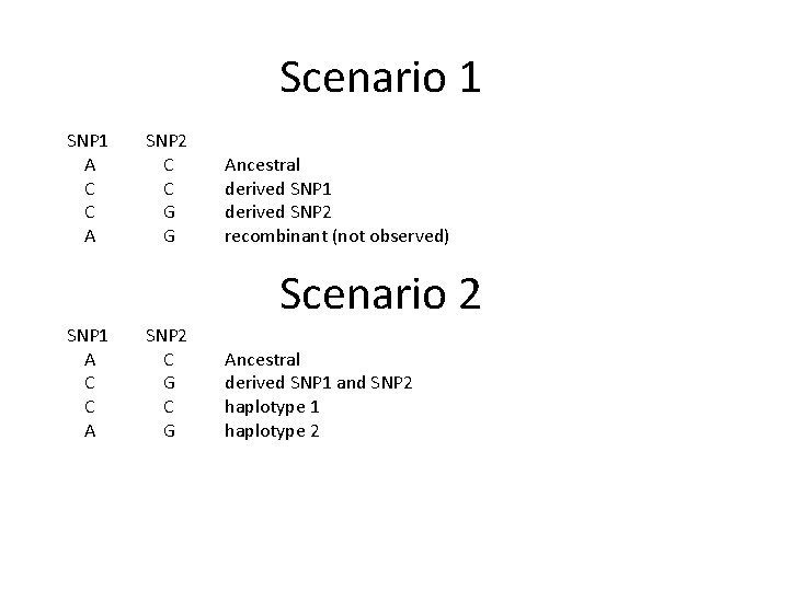 Scenario 1 SNP 1 A C C A SNP 2 C C G G