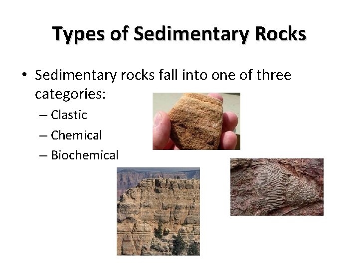 Types of Sedimentary Rocks • Sedimentary rocks fall into one of three categories: –