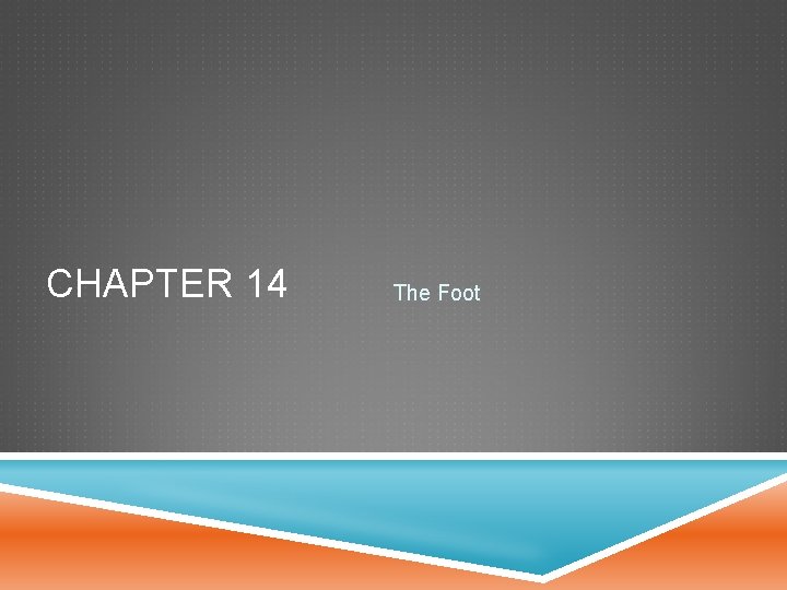 CHAPTER 14 The Foot 