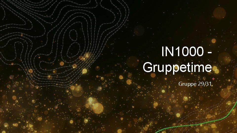 IN 1000 Gruppetime Gruppe 29/31 