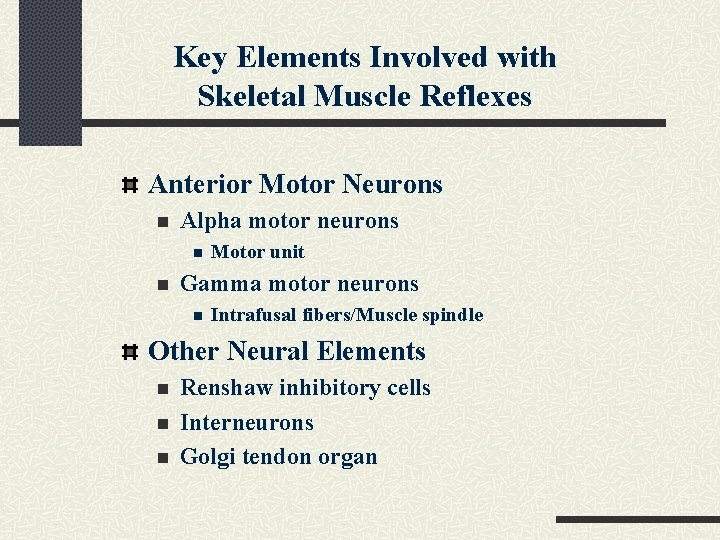 Key Elements Involved with Skeletal Muscle Reflexes Anterior Motor Neurons n Alpha motor neurons