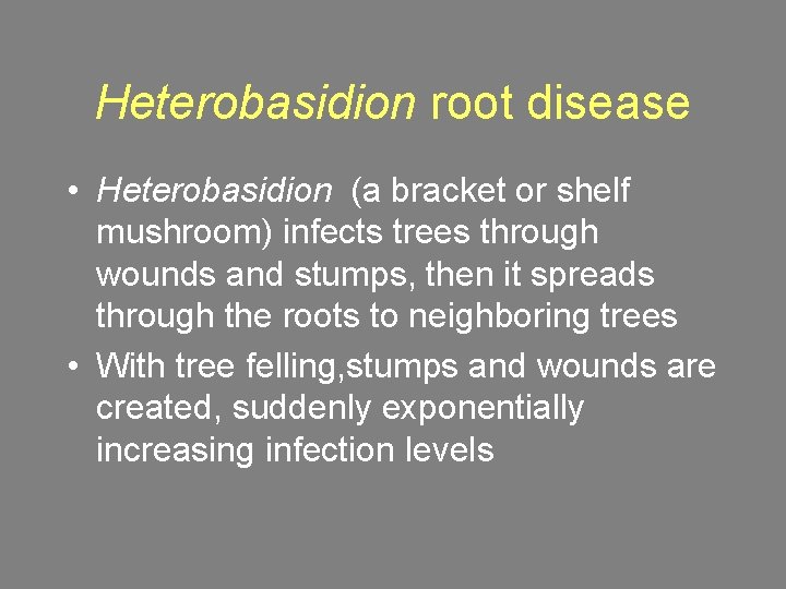 Heterobasidion root disease • Heterobasidion (a bracket or shelf mushroom) infects trees through wounds