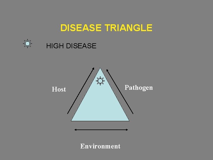 DISEASE TRIANGLE HIGH DISEASE Pathogen Host Environment 