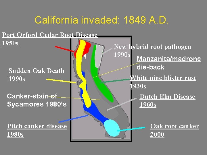 California invaded: 1849 A. D. Port Orford Cedar Root Disease 1950 s Sudden Oak