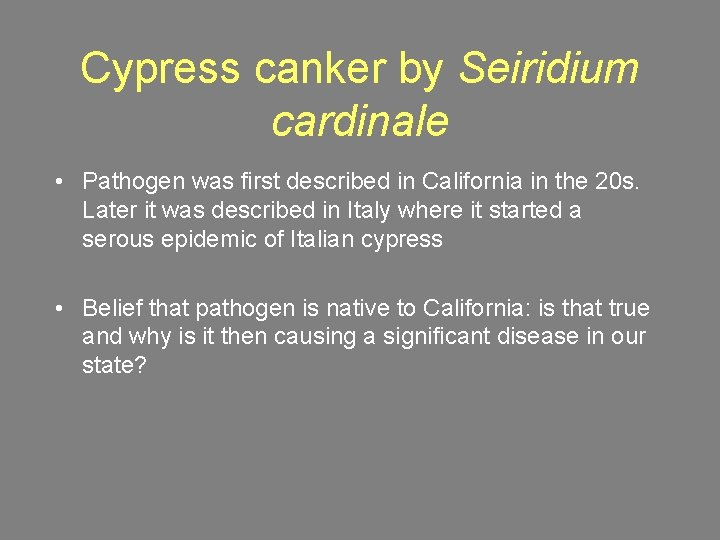Cypress canker by Seiridium cardinale • Pathogen was first described in California in the