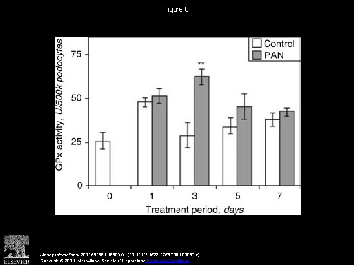 Figure 8 Kidney International 2004 661881 -1889 DOI: (10. 1111/j. 1523 -1755. 2004. 00962.