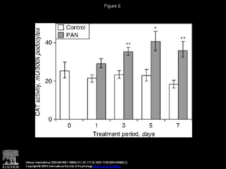 Figure 6 Kidney International 2004 661881 -1889 DOI: (10. 1111/j. 1523 -1755. 2004. 00962.