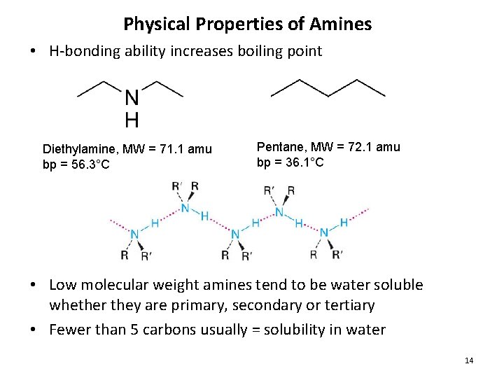 Physical Properties of Amines • H-bonding ability increases boiling point Diethylamine, MW = 71.