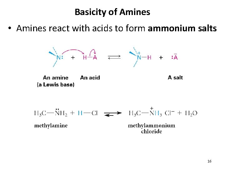 Basicity of Amines • Amines react with acids to form ammonium salts 16 Basicity of Amines • Amines react with acids to form ammonium salts 16