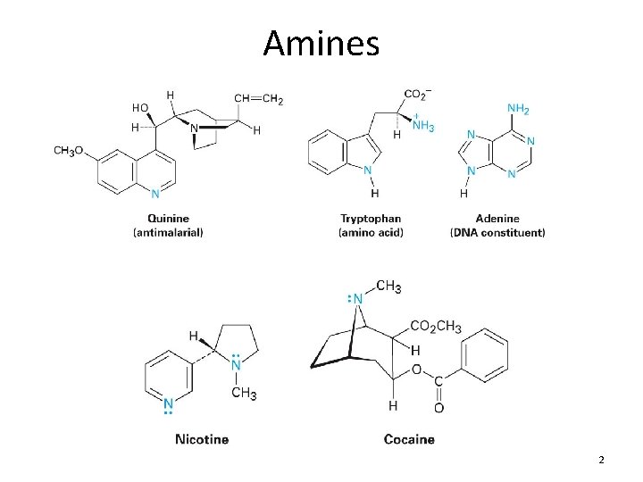 Amines 2 