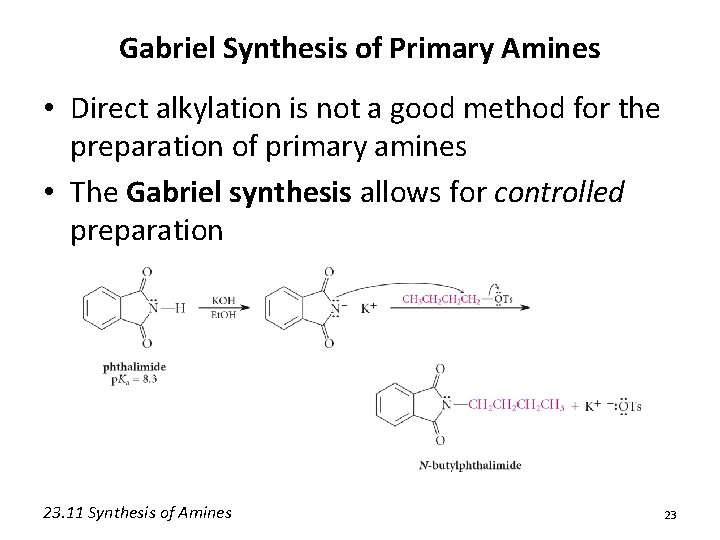 Gabriel Synthesis of Primary Amines • Direct alkylation is not a good method for