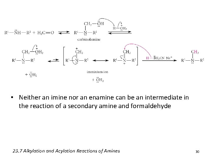  • Neither an imine nor an enamine can be an intermediate in the