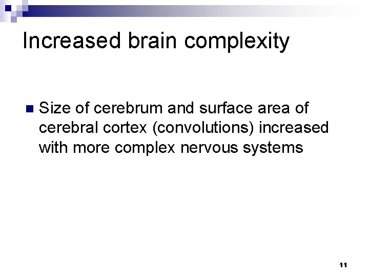 Increased brain complexity n Size of cerebrum and surface area of cerebral cortex (convolutions)