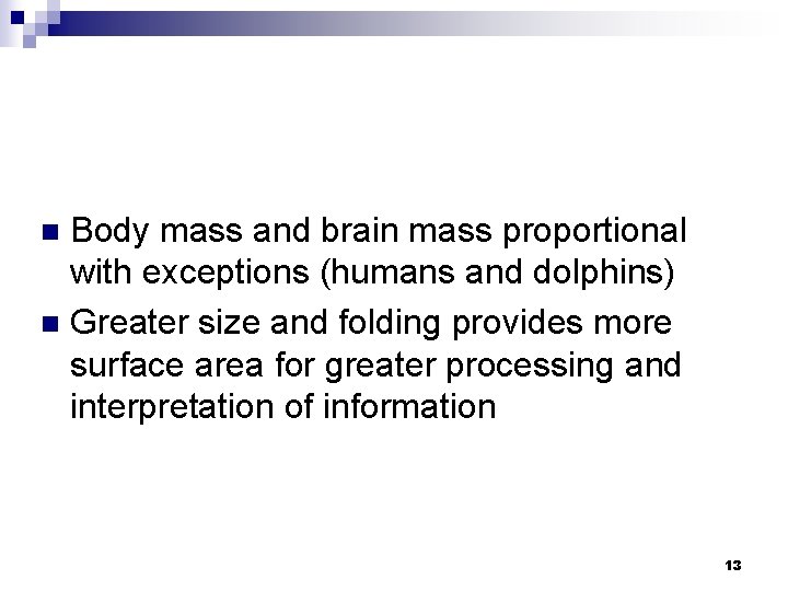 Body mass and brain mass proportional with exceptions (humans and dolphins) n Greater size