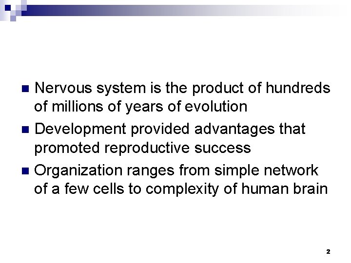 Nervous system is the product of hundreds of millions of years of evolution n