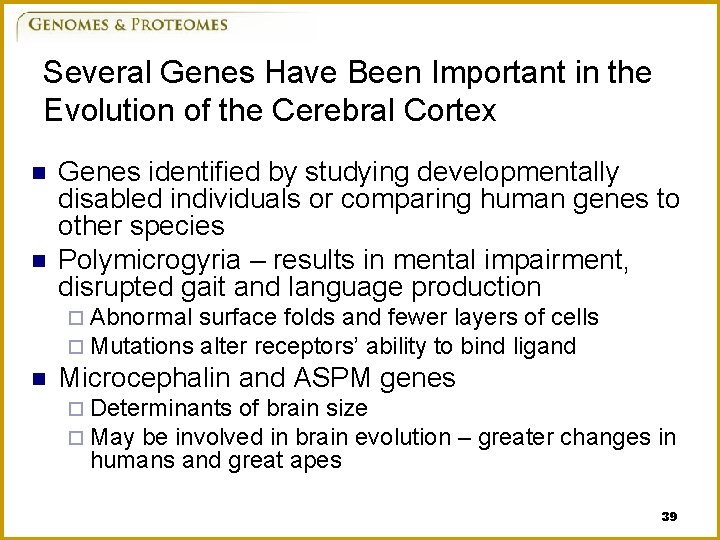 Several Genes Have Been Important in the Evolution of the Cerebral Cortex n n