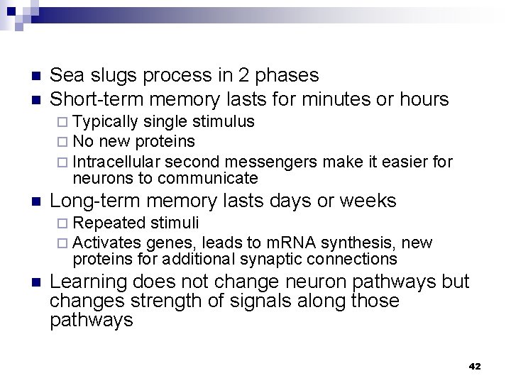 n n Sea slugs process in 2 phases Short-term memory lasts for minutes or