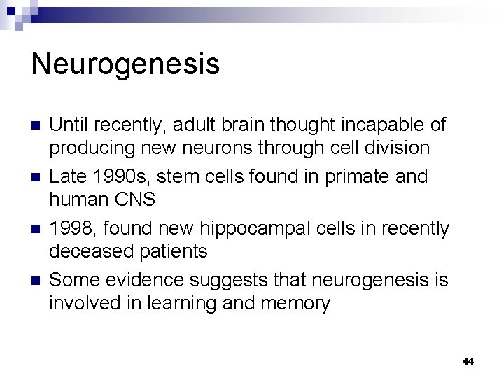 Neurogenesis n n Until recently, adult brain thought incapable of producing new neurons through