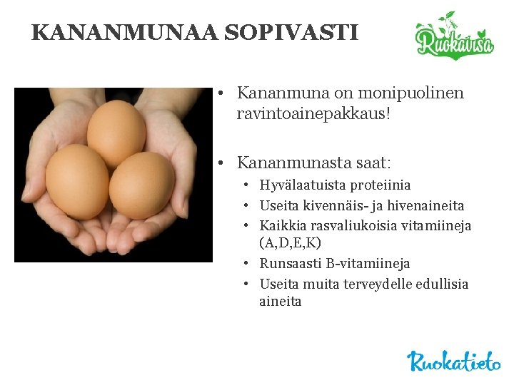 KANANMUNAA SOPIVASTI • Kananmuna on monipuolinen ravintoainepakkaus! • Kananmunasta saat: • Hyvälaatuista proteiinia •