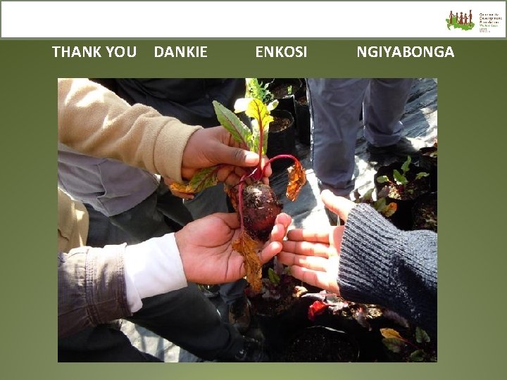THANK YOU DANKIE ENKOSI NGIYABONGA 