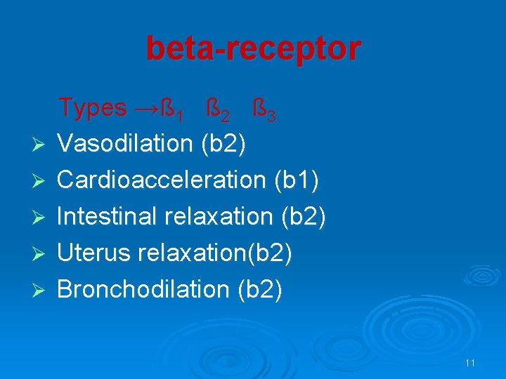 beta-receptor Ø Ø Ø Types →ß 1 ß 2 ß 3 Vasodilation (b 2)