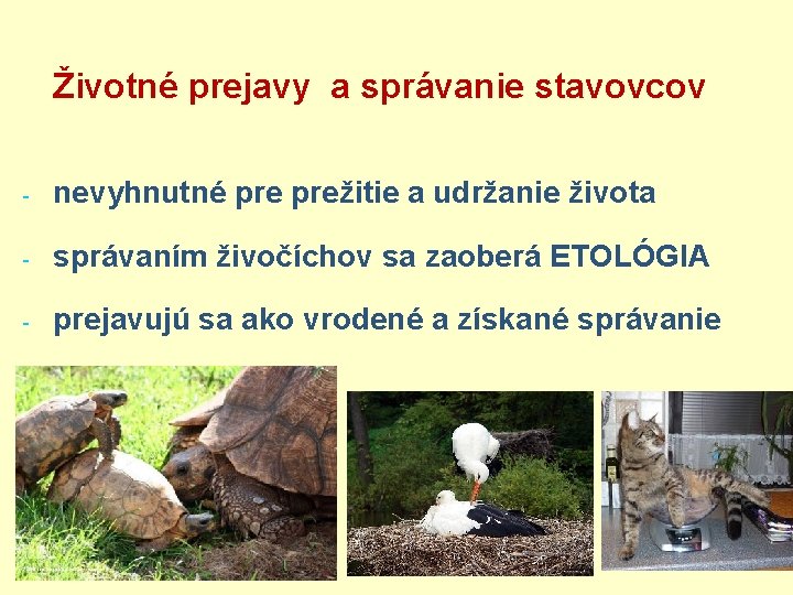 Životné prejavy a správanie stavovcov - nevyhnutné prežitie a udržanie života - správaním živočíchov