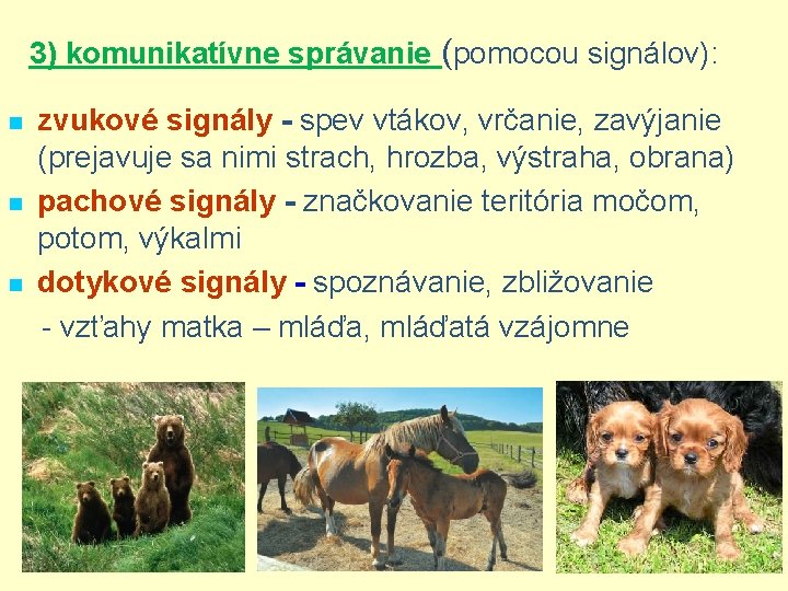 3) komunikatívne správanie (pomocou signálov): n n n zvukové signály - spev vtákov, vrčanie,