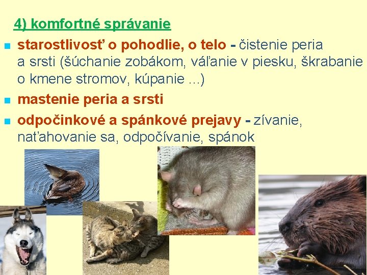 4) komfortné správanie n starostlivosť o pohodlie, o telo - čistenie peria a srsti