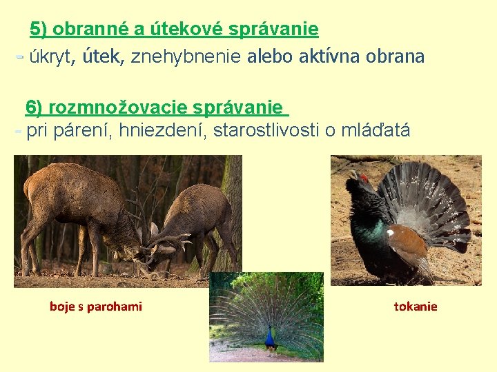 5) obranné a útekové správanie - úkryt, útek, znehybnenie alebo aktívna obrana 6) rozmnožovacie