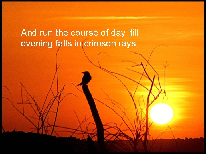 And run the course of day ‘till evening falls in crimson rays. 