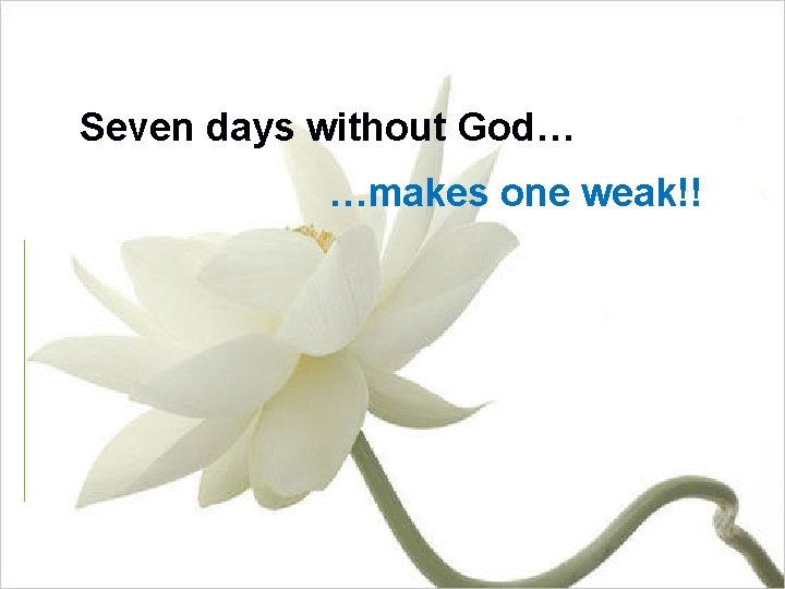 Seven days without God… …makes one weak!! 