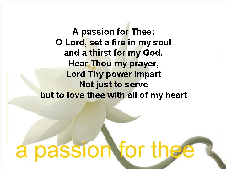 A passion for Thee; O Lord, set a fire in my soul and a