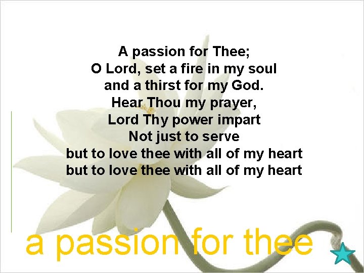 A passion for Thee; O Lord, set a fire in my soul and a