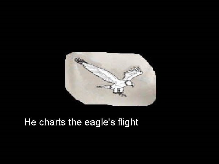 He charts the eagle's flight 