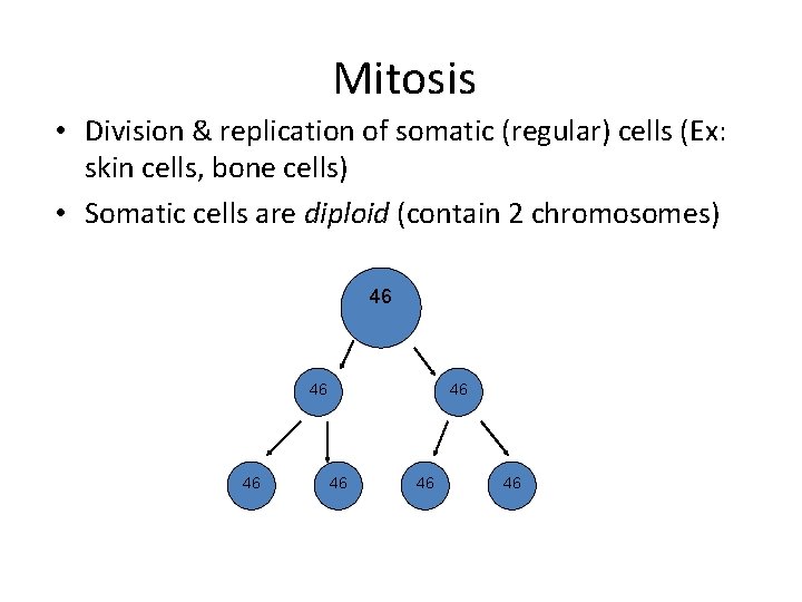 Mitosis • Division & replication of somatic (regular) cells (Ex: skin cells, bone cells)