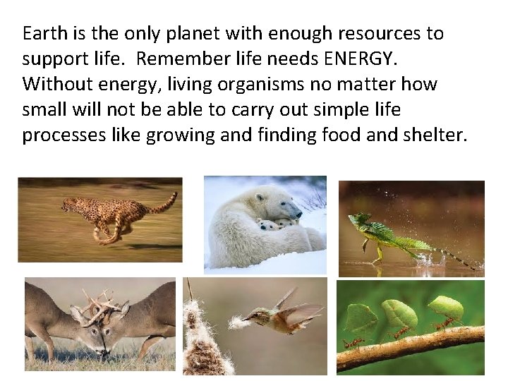 Earth is the only planet with enough resources to support life. Remember life needs