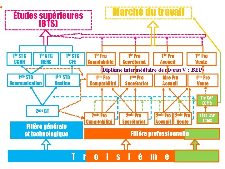 Études supérieures (BTS) Tle STG CGRH Tle STG MERC Tle STG CFE Marché du