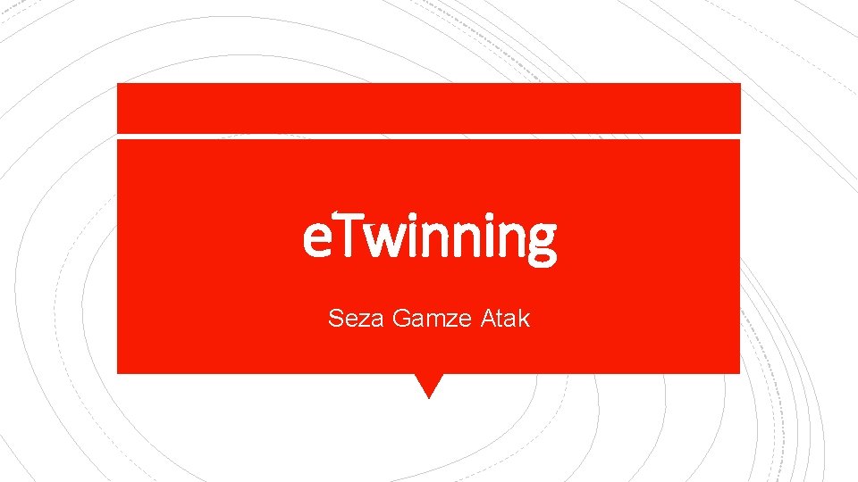 e. Twinning Seza Gamze Atak 