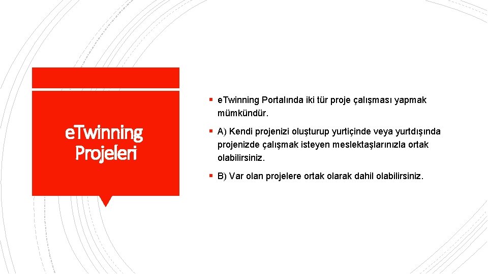 § e. Twinning Portalında iki tür proje çalışması yapmak mümkündür. e. Twinning Projeleri §