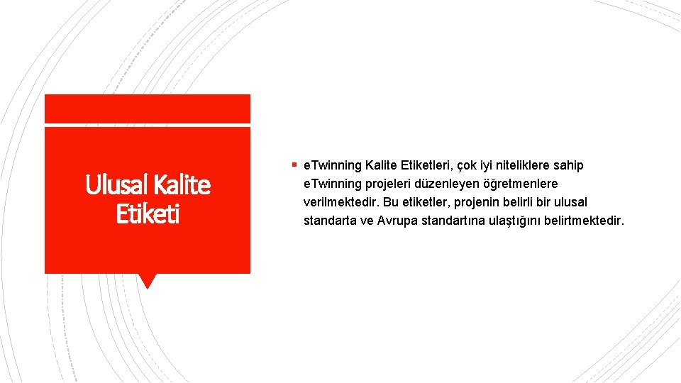 Ulusal Kalite Etiketi § e. Twinning Kalite Etiketleri, çok iyi niteliklere sahip e. Twinning