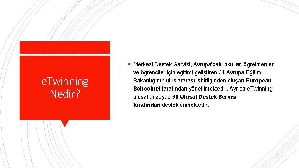 § Merkezi Destek Servisi, Avrupa'daki okullar, öğretmenler e. Twinning Nedir? ve öğrenciler için eğitimi