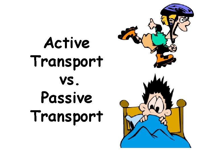 Active Transport vs. Passive Transport 