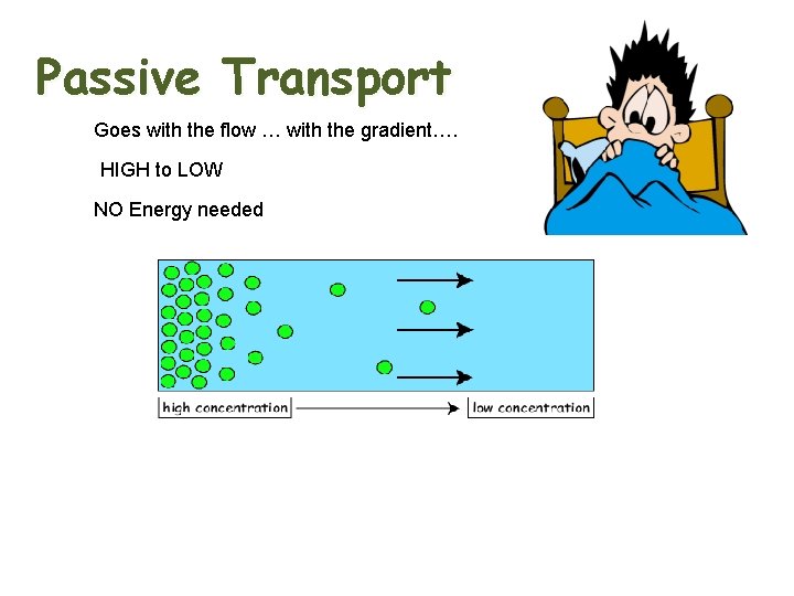 Passive Transport Goes with the flow … with the gradient…. HIGH to LOW NO