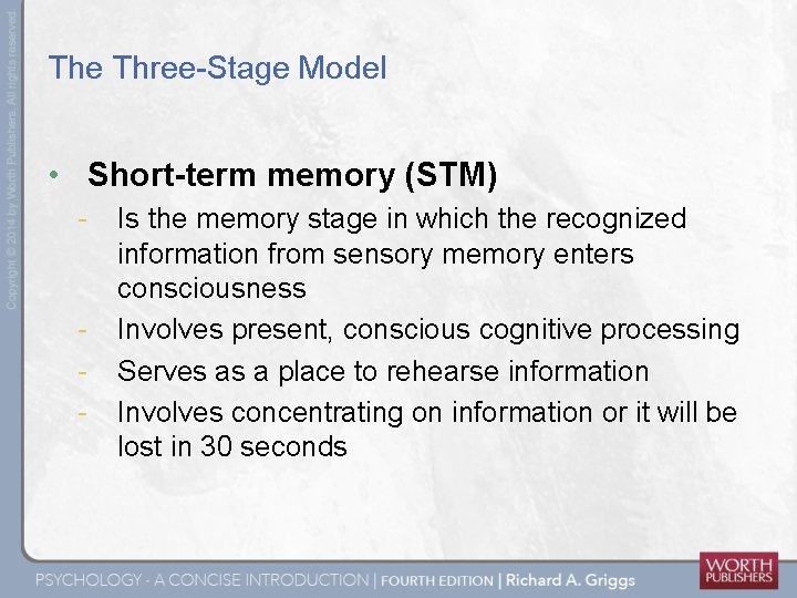 The Three-Stage Model • Short-term memory (STM) - - Is the memory stage in