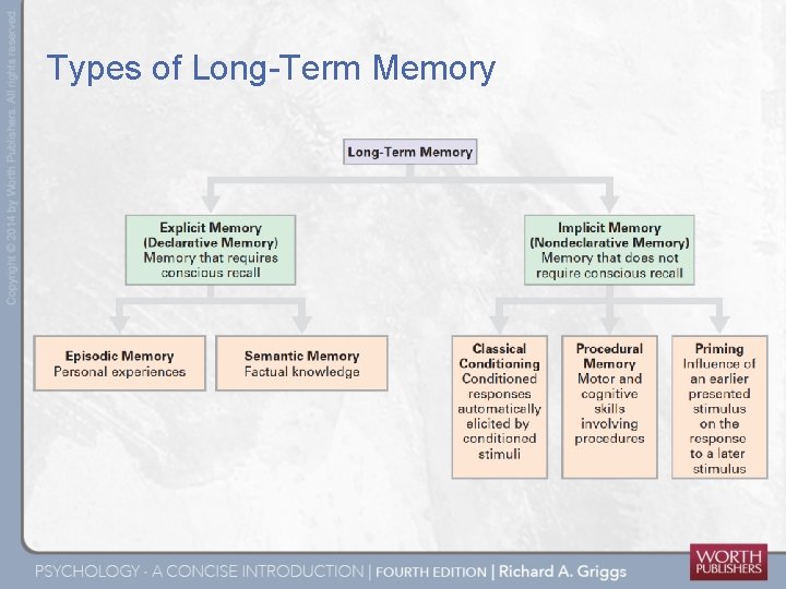 Types of Long-Term Memory 