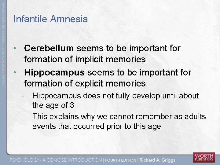 Infantile Amnesia • Cerebellum seems to be important formation of implicit memories • Hippocampus