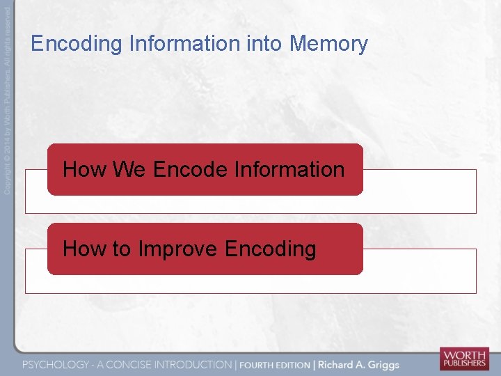 Encoding Information into Memory How We Encode Information How to Improve Encoding 