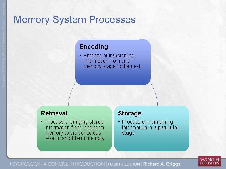 Memory System Processes Encoding • Process of transferring information from one memory stage to