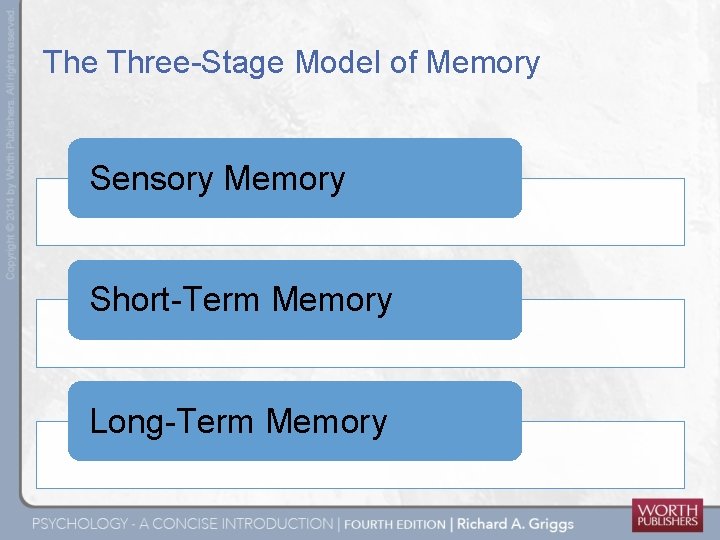 The Three-Stage Model of Memory Sensory Memory Short-Term Memory Long-Term Memory 