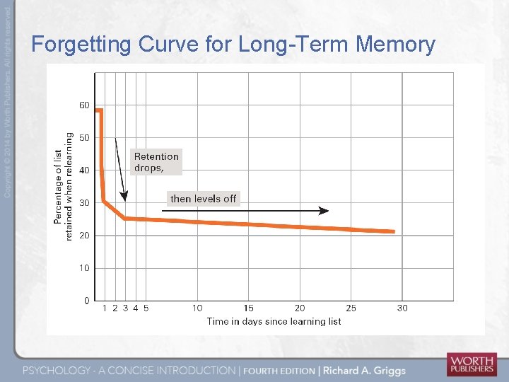 Forgetting Curve for Long-Term Memory 